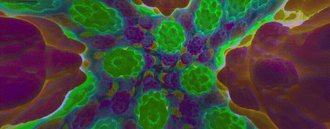 Fractal visualization 1